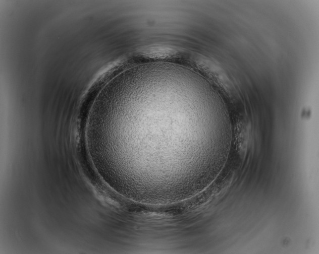 X0000098120400200804041413