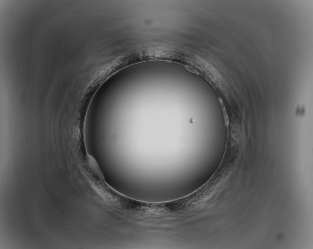 X0000098120401200804041413