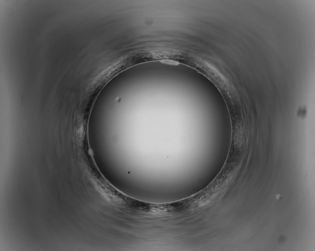 X0000098120405200804041413