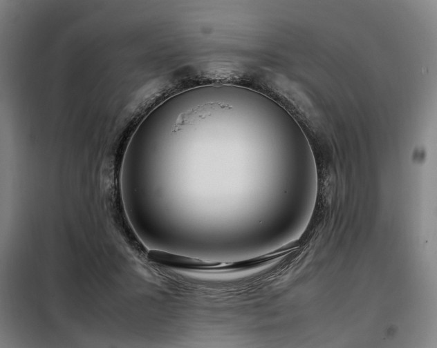 X0000098120407200804041413