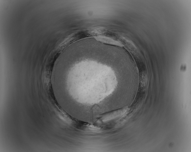 X0000098120409200804041413