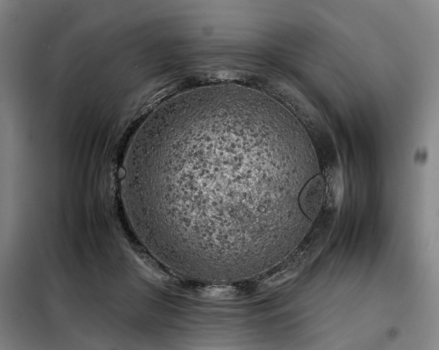 X0000098120410200804041413