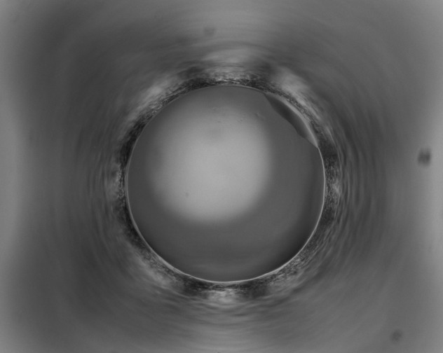 X0000098120411200804041413