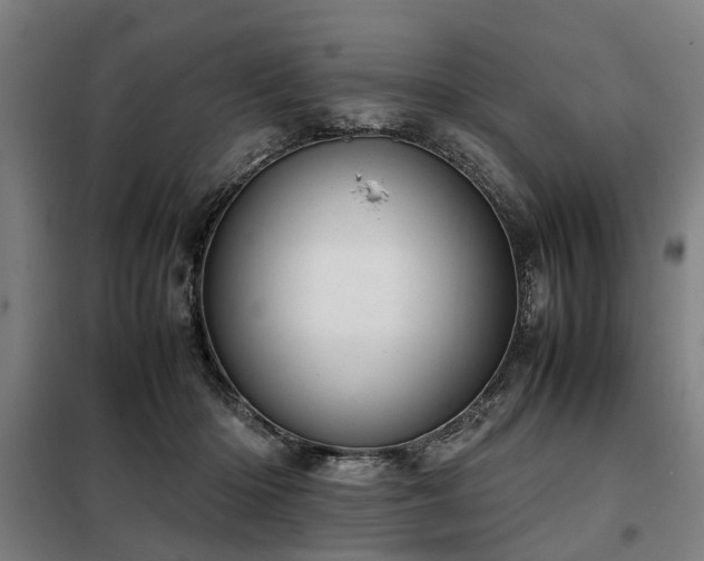 X0000098120414200804041412