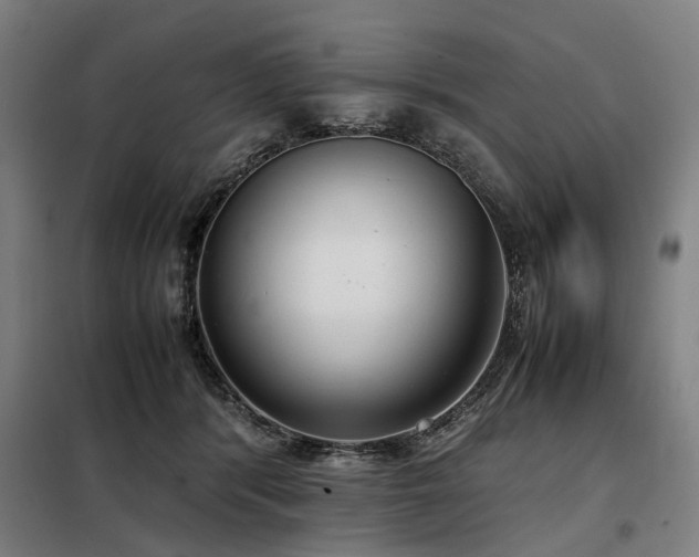 X0000098120416200804041412