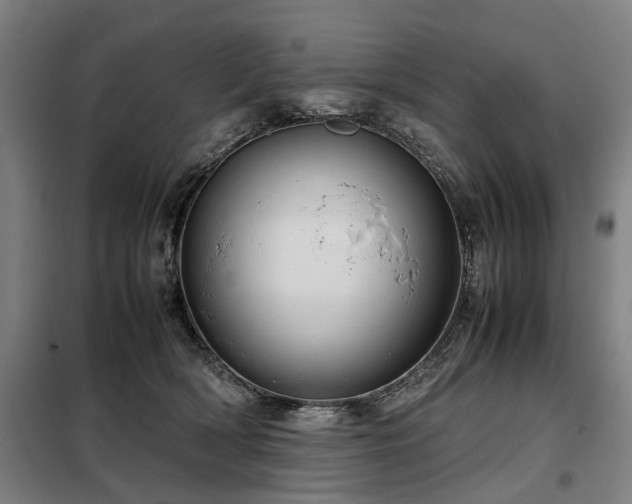 X0000098120418200804041412