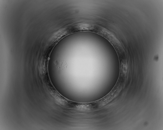 X0000098120422200804041412