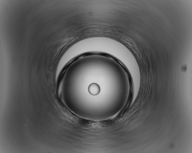 X0000098120423200804041412