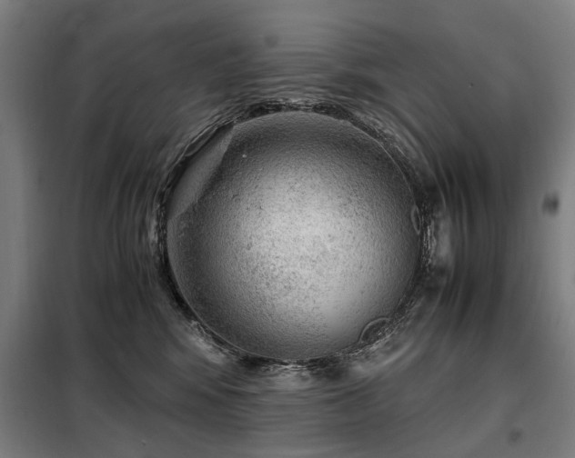 X0000098120424200804041412