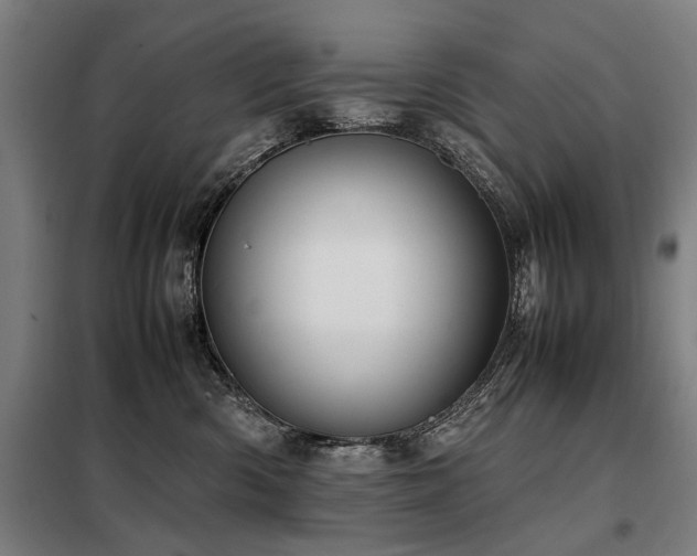 X0000098120426200804041412