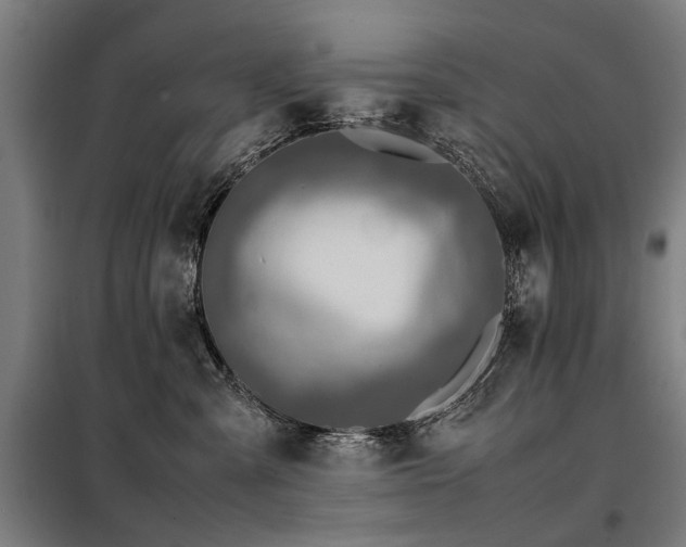 X0000098120427200804041412