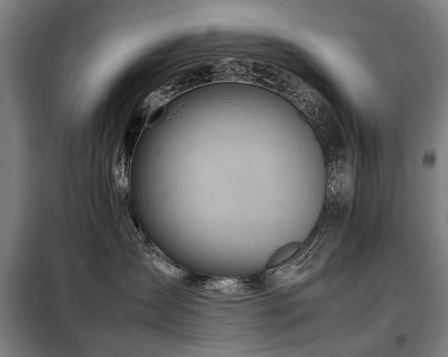 X0000098120431200804041412