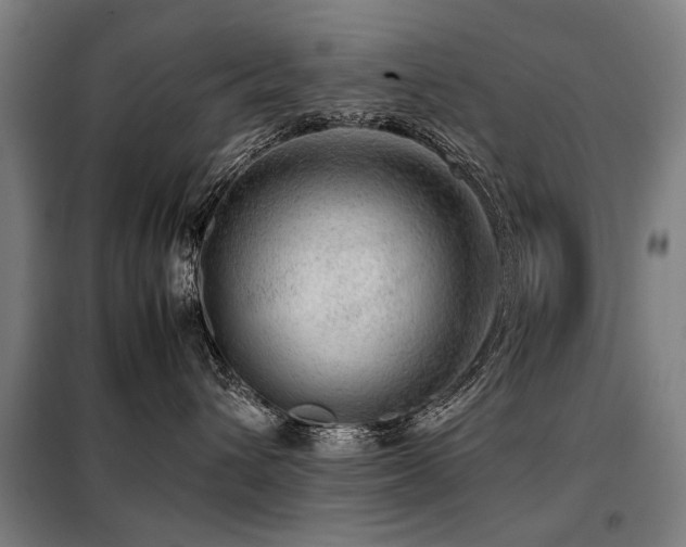 X0000098120432200804041412