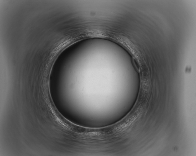 X0000098120433200804041411