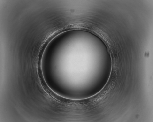 X0000098120434200804041411