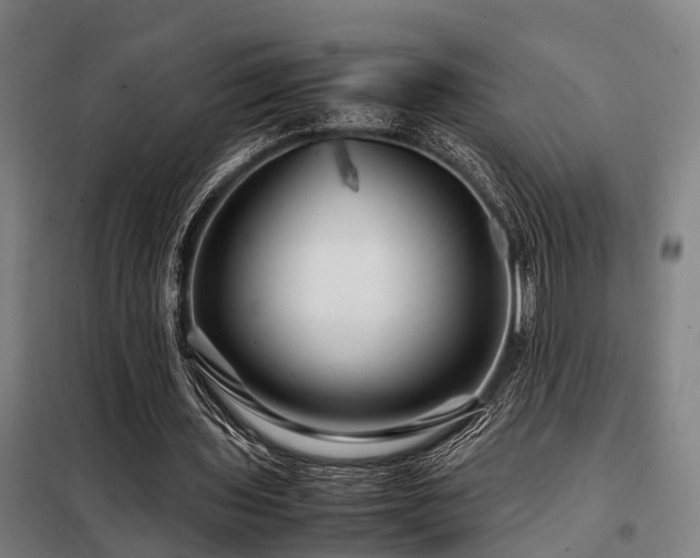 X0000098120435200804041411