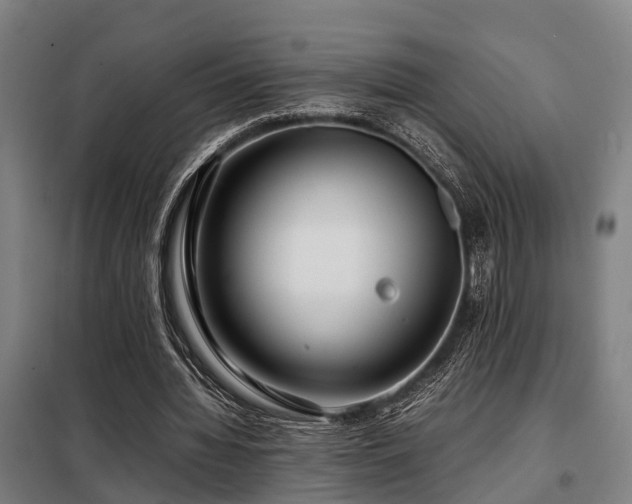X0000098120436200804041411