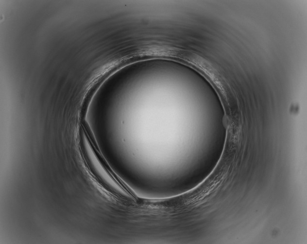 X0000098120437200804041411