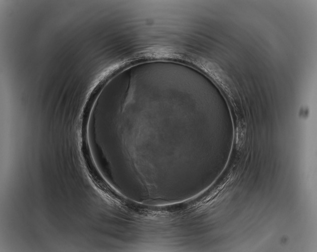 X0000098120438200804041411