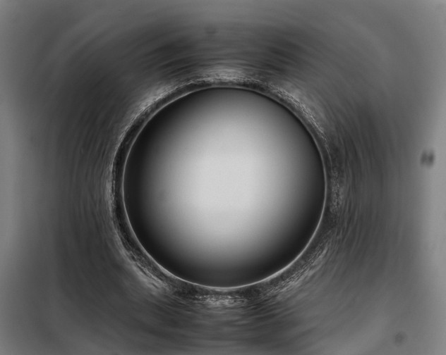 X0000098120439200804041411