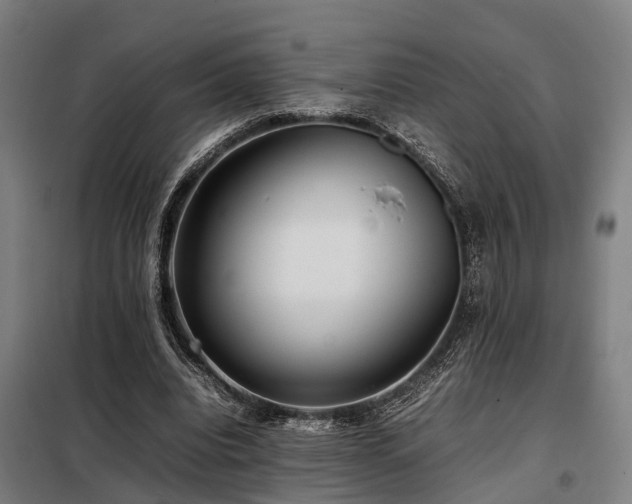X0000098120440200804041412