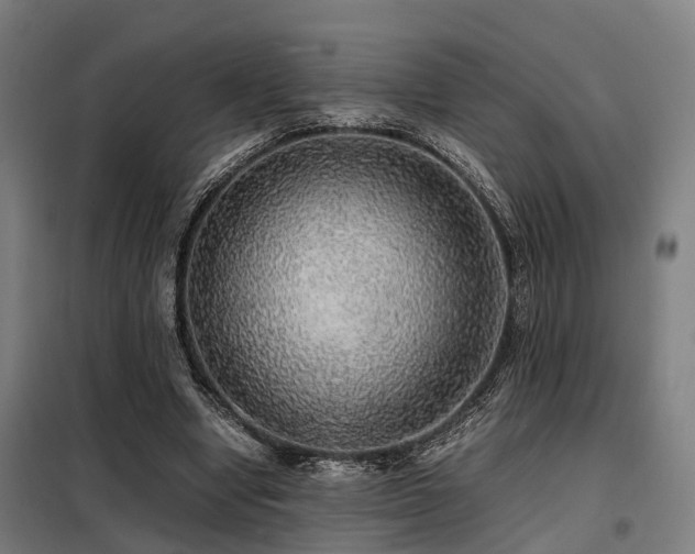 X0000098120442200804041412
