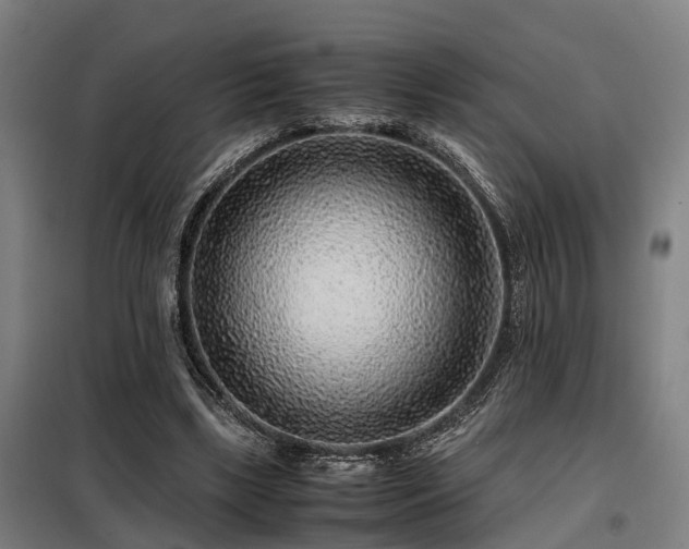 X0000098120443200804041412