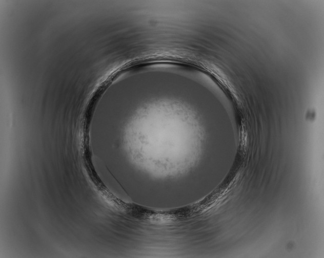 X0000098120444200804041412