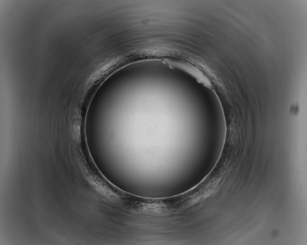 X0000098120446200804041412