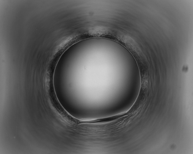 X0000098120448200804041412