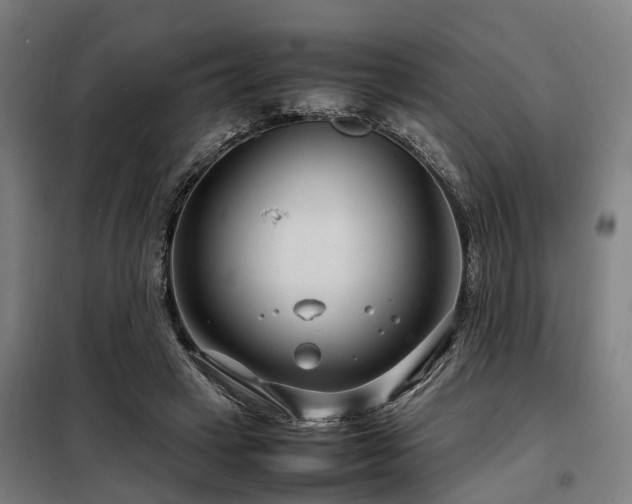 X0000098120449200804041412