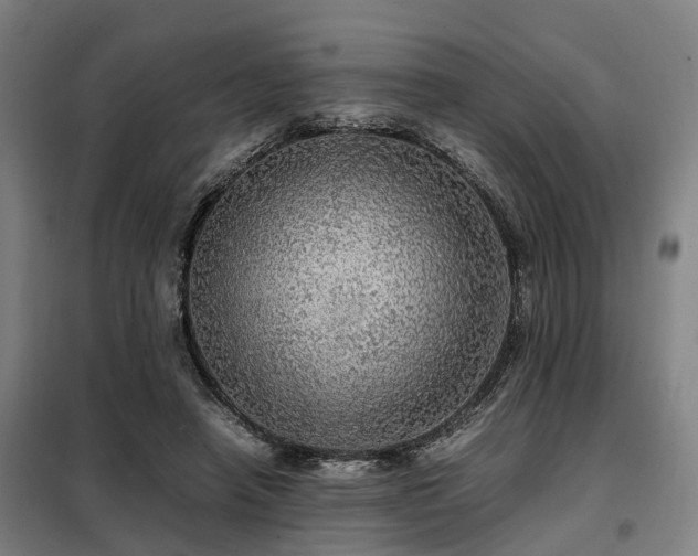 X0000098120450200804041412