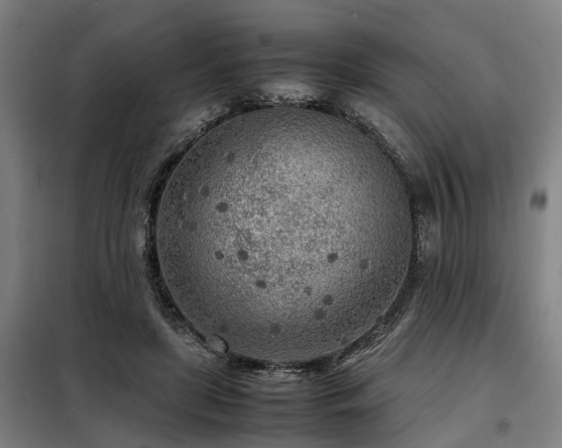 X0000098120451200804041412