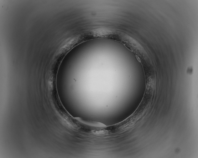 X0000098120452200804041412