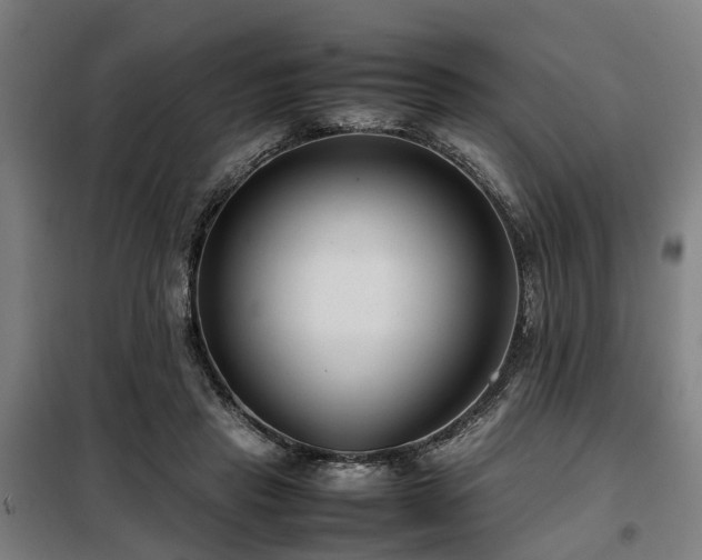 X0000098120453200804041412
