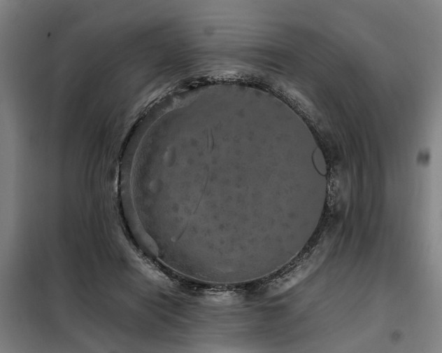 X0000098120454200804041412