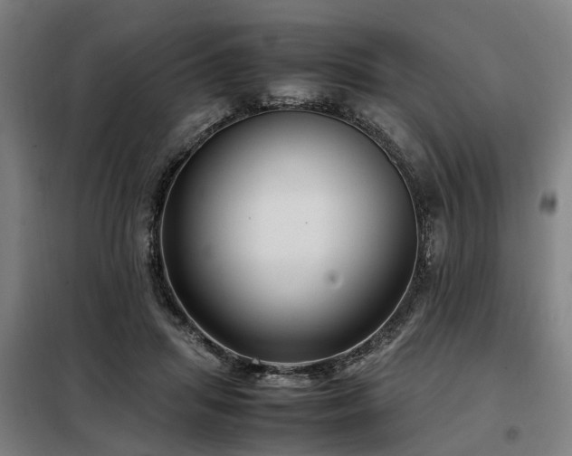 X0000098120455200804041412