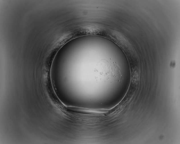 X0000098120456200804041412