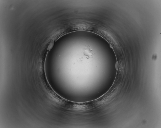 X0000098120457200804041412
