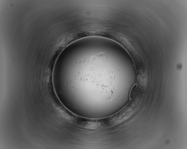 X0000098120458200804041412