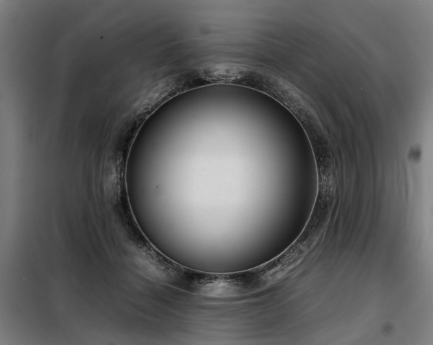 X0000098120460200804041412