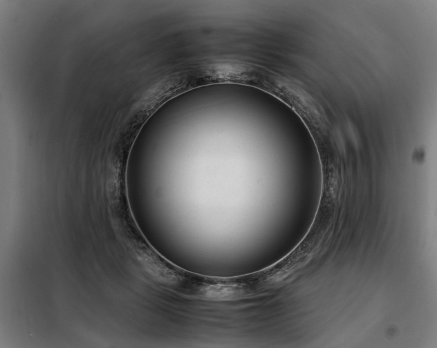 X0000098120461200804041412