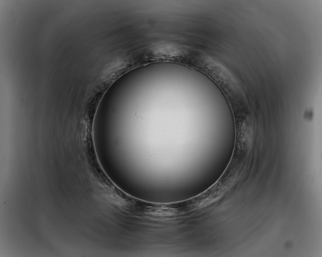 X0000098120463200804041412