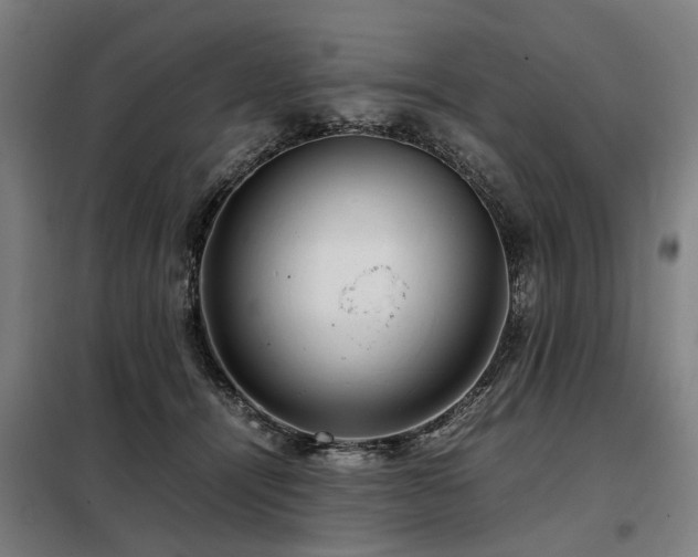 X0000098120464200804041412