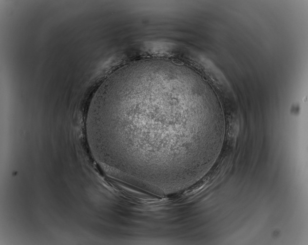 X0000098120465200804041412