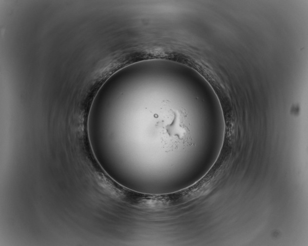 X0000098120466200804041412