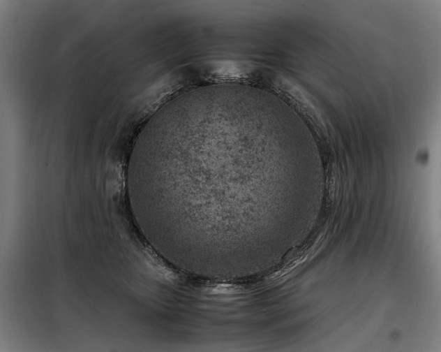 X0000098120467200804041412