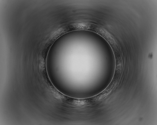 X0000098120469200804041412
