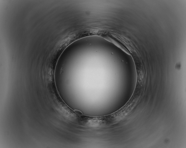 X0000098120470200804041412