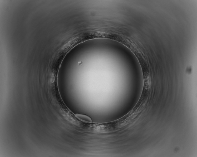 X0000098120472200804041412
